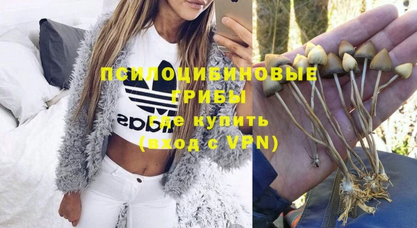молекула духа Абинск