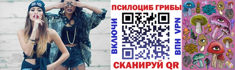 Псилоцибиновые грибы Cubensis  Тимашёвск 